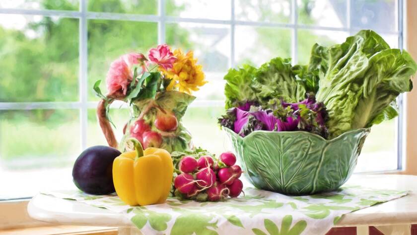 Nutrición en oncología